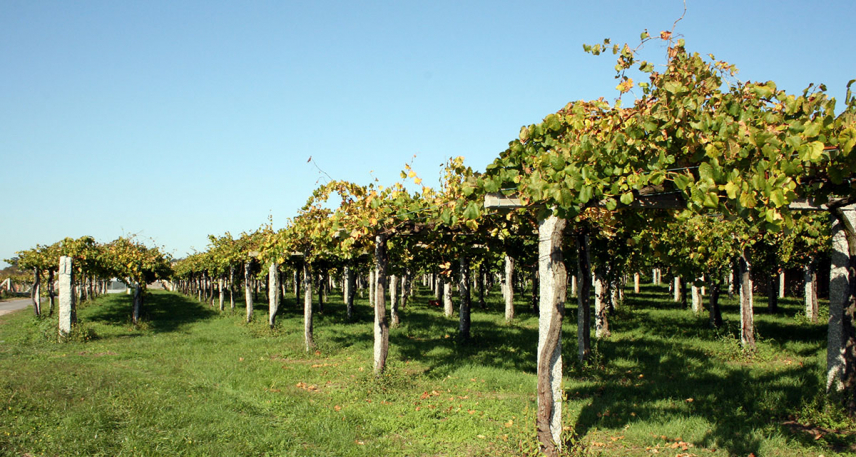 Bienvenidos a nuestro sitio web